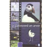 Les Ailes du rivage DVD