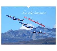 Les ailes françaises au-dessus des cimes (Calendrier mural 2026 DIN A3 vertical), CALVENDO calendrier mensuel: Spectacle aérien au-dessus des Alpes