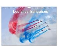 Les ailes françaises (Calendrier mural 2026 DIN A4 vertical), CALVENDO calendrier mensuel: Les ailes françaises escortent un Boeing