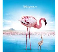 Les Ailes Pourpres: Le mystères des flamants