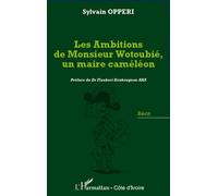 Les Ambitions De Monsieur Wotoubié, Un Maire Caméléon