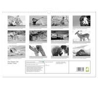 Les âmes des animaux sauvages, Version française (Calendrier mural 2026 DIN A3 portrait), Calendrier CALVENDO mensuel