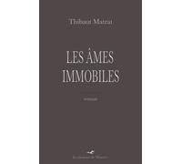 Les Âmes immobiles - Thibaut Matrat - La Mouette De Minerve - broché - Roman