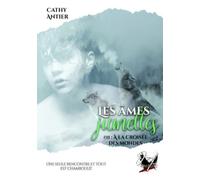 Les Âmes-Jumelles: À la croisée des mondes