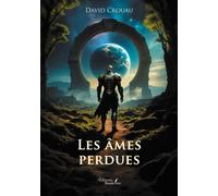 Les âmes perdues - David Crouau - Baudelaire - broché - Roman