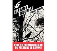 Les Âmes troubles - Prix du premier roman du festival de Beaune 2015