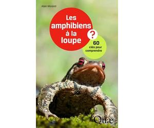 Les amphibiens à la loupe ?: 60 clés pour comprendre