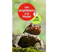 Les amphibiens à la loupe ? Alain Morand (Auteur)