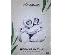 Les Animaux Amoureux (Animals in Love (Eco Collection)) [DVD] G