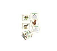 Les animaux de la forêt 100 BONS POINTS Jeu de societe