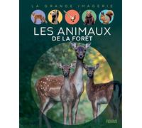 Les animaux de la forêt - Emilie Beaumont - Fleurus - cartonné - Document jeunesse
