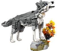 Les animaux de la forêt: le loup gris
