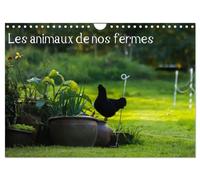 Les animaux de nos fermes (Calendrier mural 2026 DIN A4 horizontal), CALVENDO calendrier mensuel
