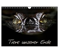 Les animaux de notre planète, Version française (Calendrier mural 2026 DIN A4 portrait), Calendrier CALVENDO mensuel