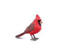 Les Animaux Des Jardins Cardinal Rouge