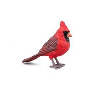 Les Animaux Des Jardins Cardinal Rouge