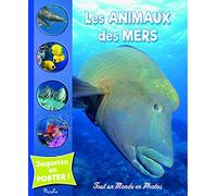Les animaux des mers