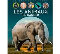 Les animaux en danger Sabine Boccador (Auteur)