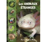 Les animaux étranges et méconnus - Collectif - Piccolia - broché - Document jeunesse dès 6 ans