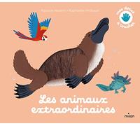 Pascale Hédelin – Les animaux extraordinaires – Raphaëlle Michaud (Illustration) – cartonné