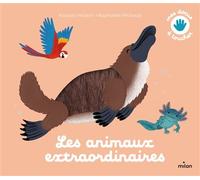 Pascale Hédelin – Les animaux extraordinaires – Raphaëlle Michaud (Illustration) – cartonné