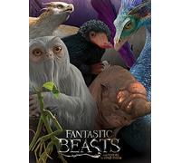 Les Animaux Fantastiques Fantastic Beasts (Escaped Beasts) 60 x 80 cm Toile Imprimée