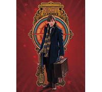 Les Animaux Fantastiques Fantastic Beasts (Newt) 60 x 80 cm Toile Imprimée