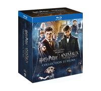Wizarding World : Harry Potter 1 à 7, Les Animaux fantastiques 1 à 3 Blu-ray