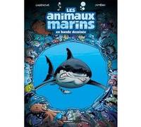 Les Animaux marins en BD - tome 01 Alexandre Amouriq (Coloriste), Christophe Cazenove (Auteur), Jytery (Dessinateur), Mirabelle (Coloriste)
