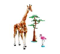LEGO® Creator 3-en-1 31150 Les animaux sauvages du safari
