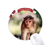 les animaux sauvages - organisme tapis de souris en caoutchouc de sapin de noël
