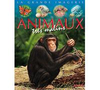 Les animaux très malins