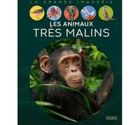 Les animaux très malins Sabine Liéveaux-Boccador (Auteur)