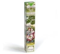 Les Anis de Flavigny Bio - Etui 90g