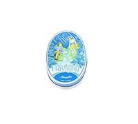 Les Anis de Flavigny Bonbons Menthe 50 g