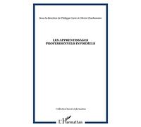 Les Apprentissages Professionnels Informels