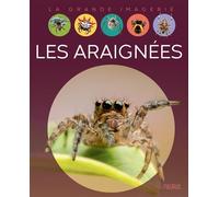 Les araignées - Cathy Franco - Fleurus - cartonné - Document jeunesse