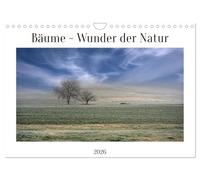 Les arbres - merveilles de la nature, Version française (Calendrier mural 2026 DIN A4 portrait), Calendrier CALVENDO mensuel