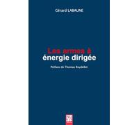Les armes à énergie dirigée