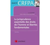 Les Arrêts Essentiels En Droit Des Libertés Fondamentales