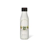 LES ARTISTES Paris A-4316 Bottle'Up, 500 ml, Gourde isotherme sans BPA, Réutilisable, Garde au chaud 12h et au froid 24h, Acier Inoxydable, Design Skater