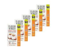Les ateliers de Brazza - Lot 5x Ferments lactiques - 4 sachets de 2g - Boîte 8g