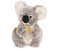 Histoire d'Ours - Peluche Koala - Les Authentiques - Boîte Cadeau - Grise - 20 Cm - Douce et Mignonne - Idée Cadeau de Naissance et Anniversaire Fille et Garçon - HO2218