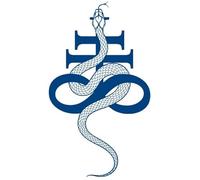 Les autocollants de tatouage de jus de fines herbes INTEROOKIE ne reflètent pas la lumière pendant 15 jours, autocollant de transfert d'eau bleue de tatouage de serpent de geisha (GZ-597)