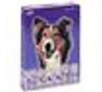 Les Aventures de Lassie G
