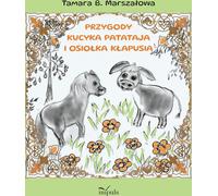 Les aventures de Patatai le poney et de Bourriquet l'âne