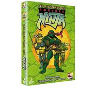 Les aventures des Tortues Ninja: Intégrale, saison 1