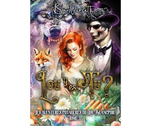 Les aventures potagères de Lou Blancpoil T3: Lou y es-tu?: Format poche