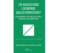 Les aveugles dans l'entreprise : quelles perspectives ? - Groupement des intellectuels aveugles ou amblyopes - René Gouarné - L'harmattan - Livre