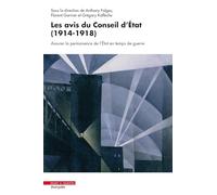 Les avis du Conseil d'État (1914-1918): Assurer la permanence de l'État en temps de guerre
